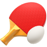 ️🏓