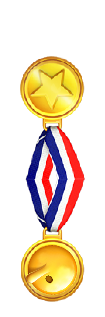 medal lying